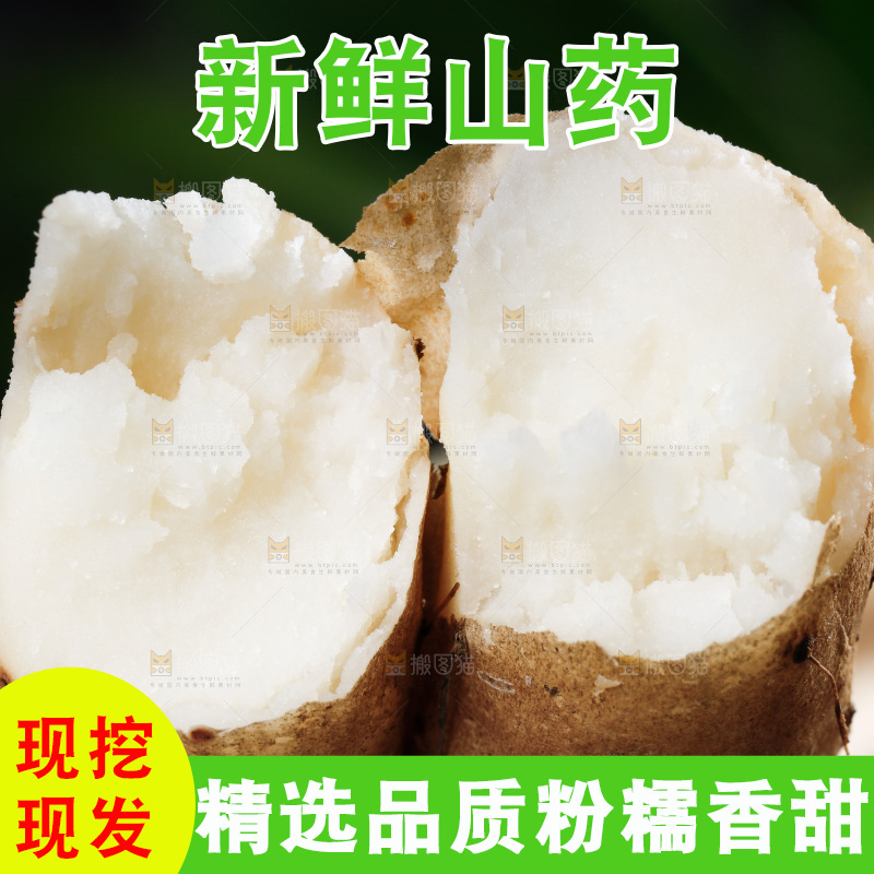 手里拿着怀山药