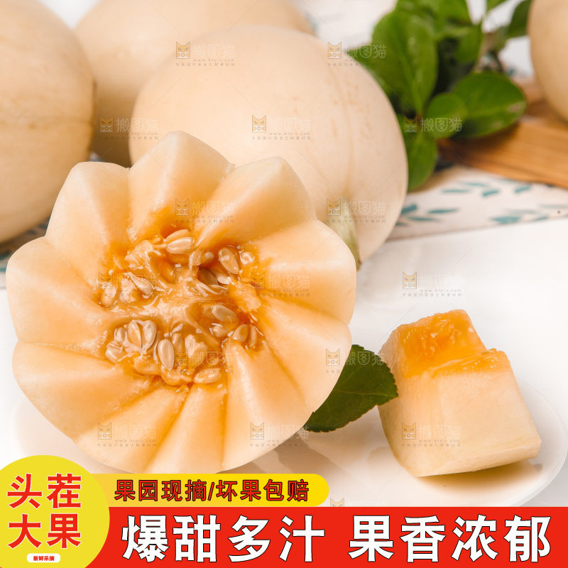 浅底上放着新鲜阎良香瓜