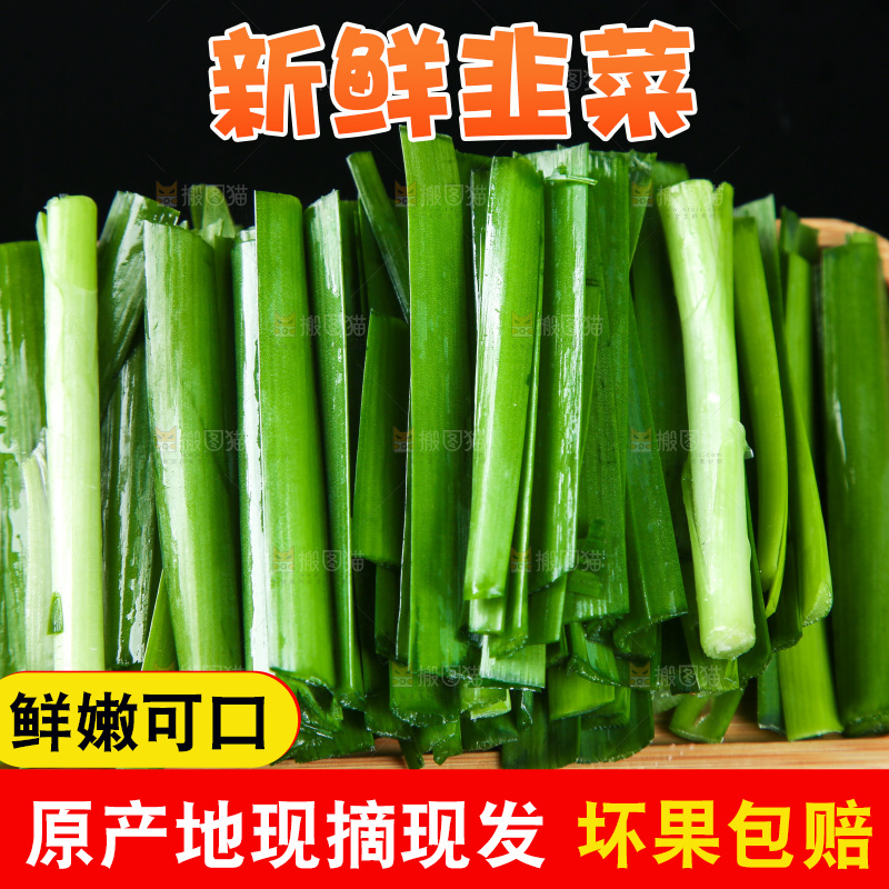 黑底上堆放着韭菜