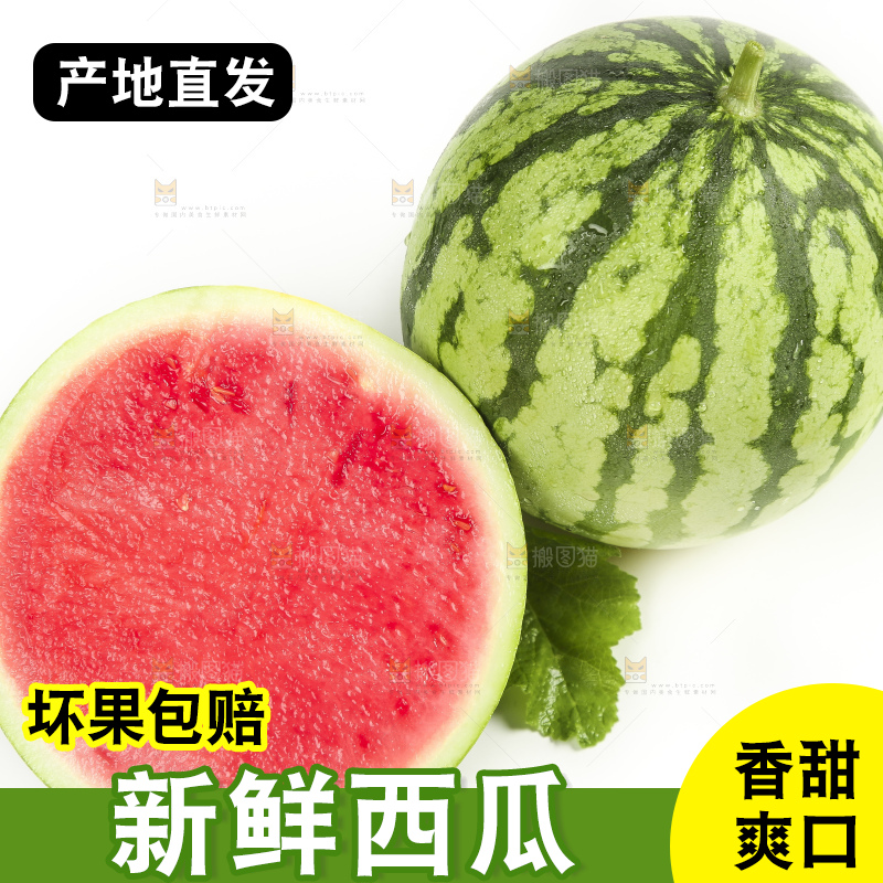 切开的麒麟西瓜放在白底上