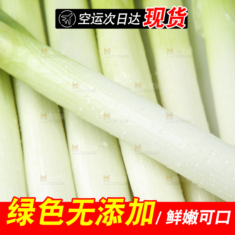 白底上放着大葱