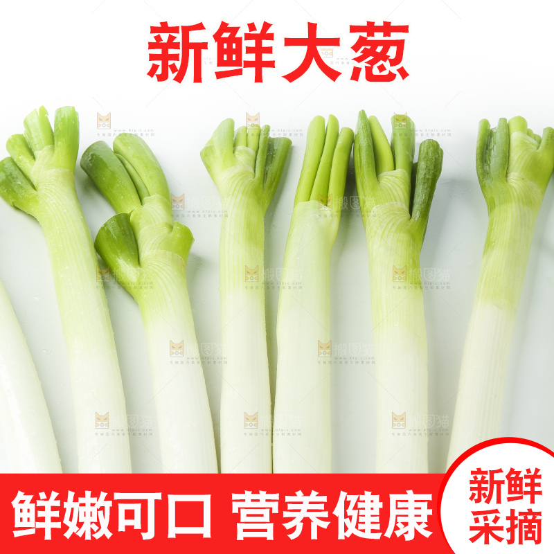 白底上放着大葱
