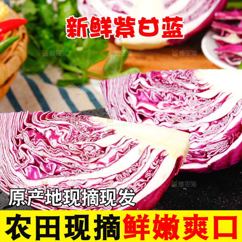 黑底上放着地甘蓝