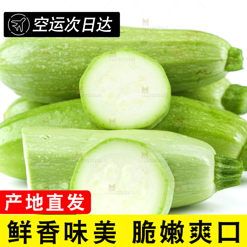 白底上摆放着茭瓜