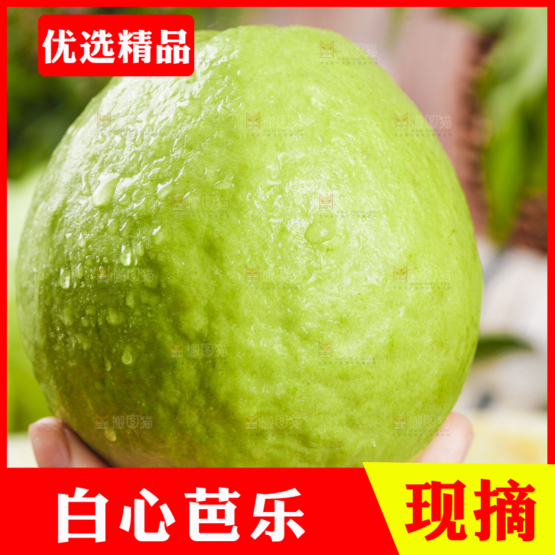 手里捧着白心芭乐