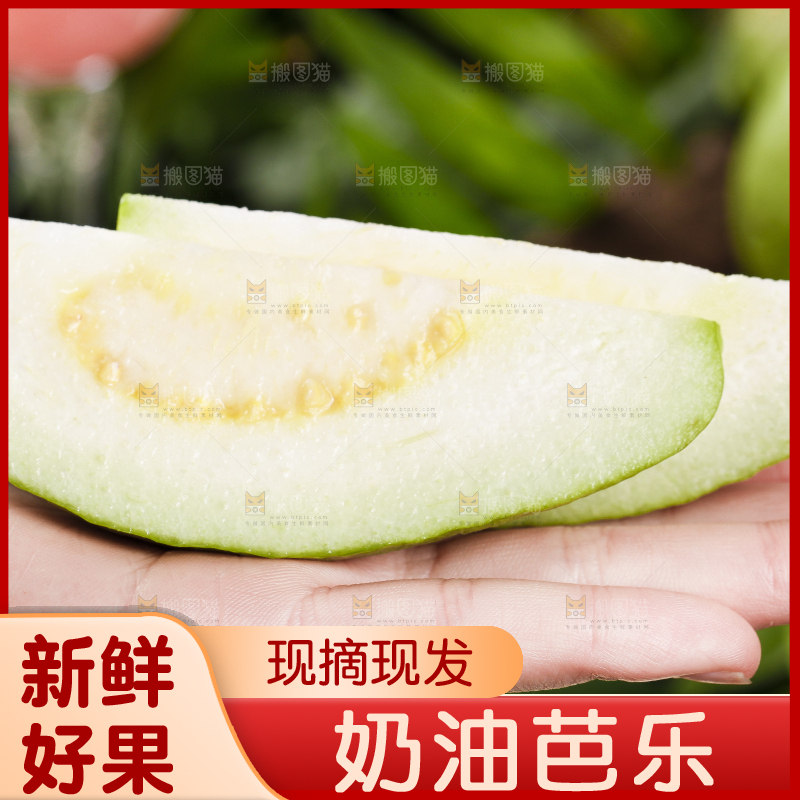 手里拿着白心芭乐