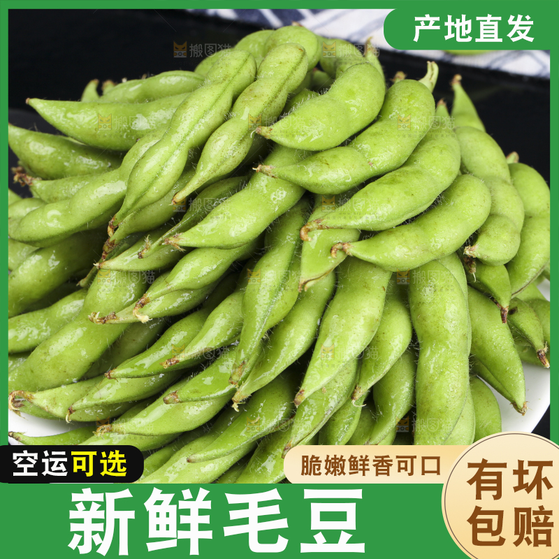 黑底上放着一盘毛豆