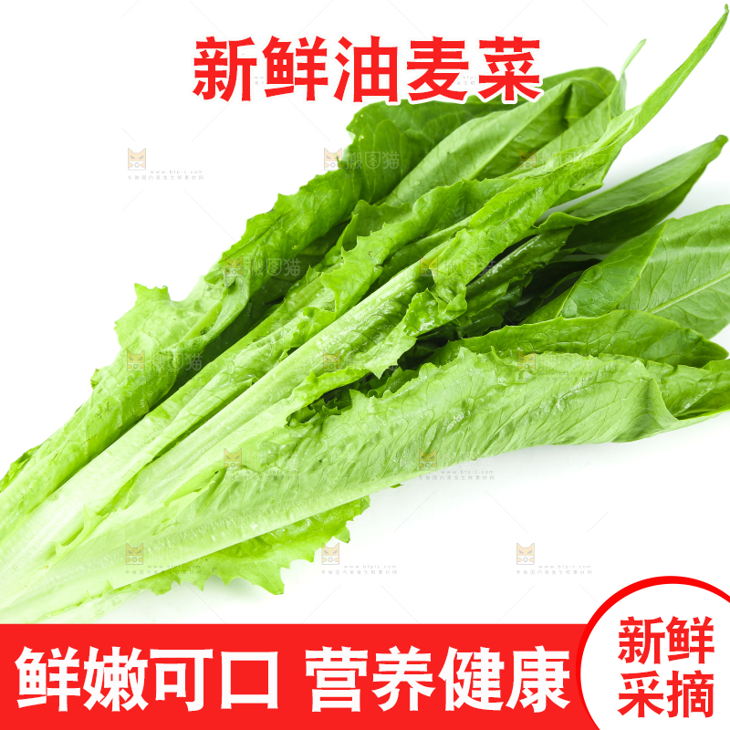白底上摆放着油麦菜