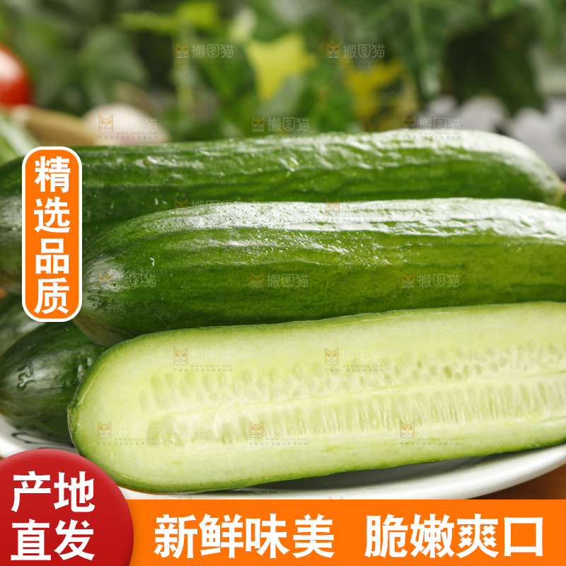 木底上放着一盘东北小青瓜