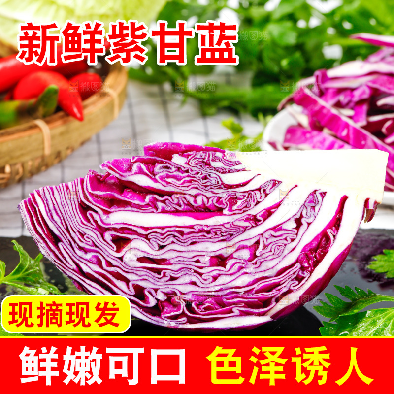 格子底上放着甘蓝