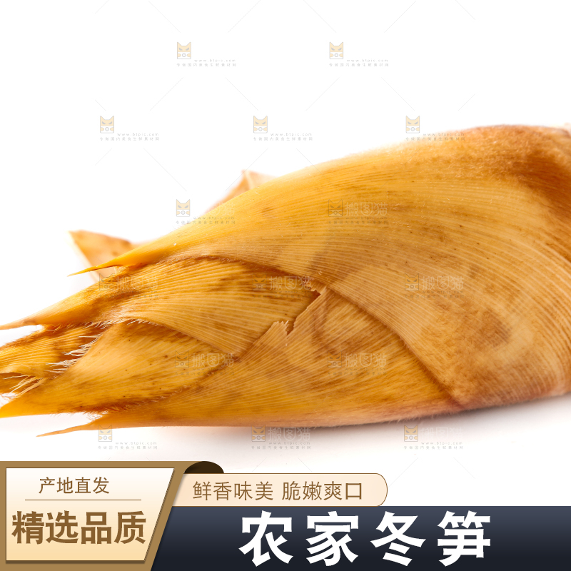 白底上摆放着冬笋