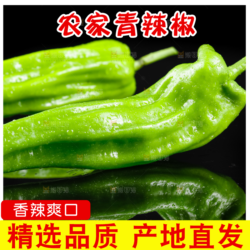 黑底上放着青辣椒