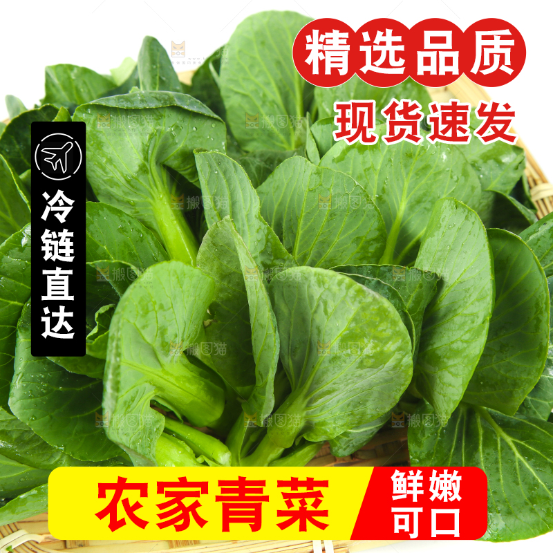 篮子里的新鲜青菜