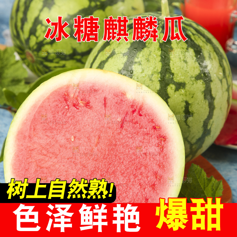 蓝底上放着新鲜麒麟西瓜
