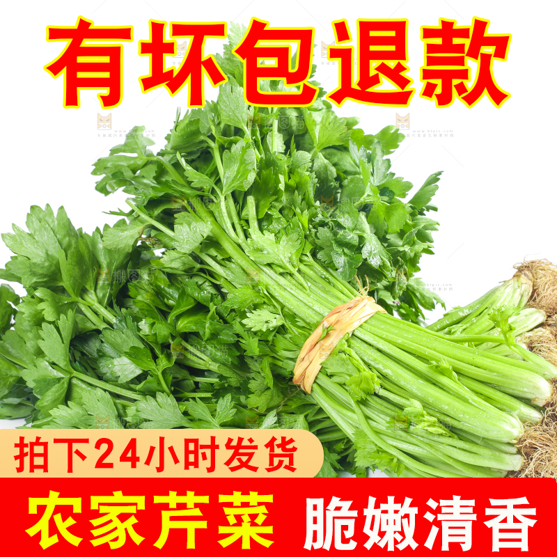 白底上堆放着香芹