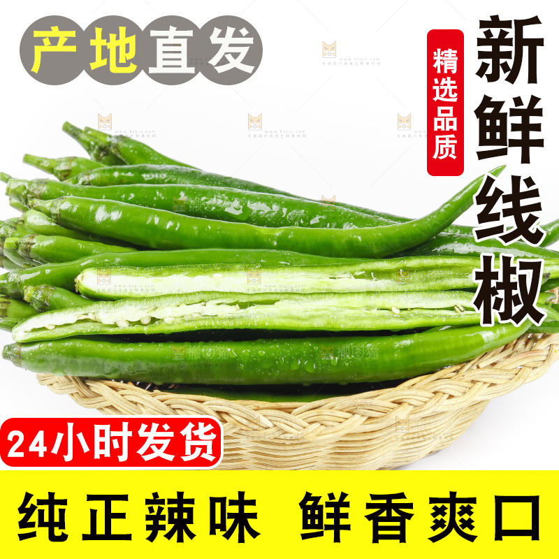 篮子里堆放着青线椒