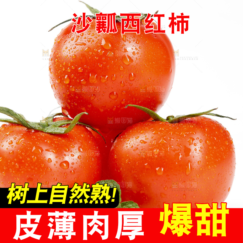 白底上的西红柿