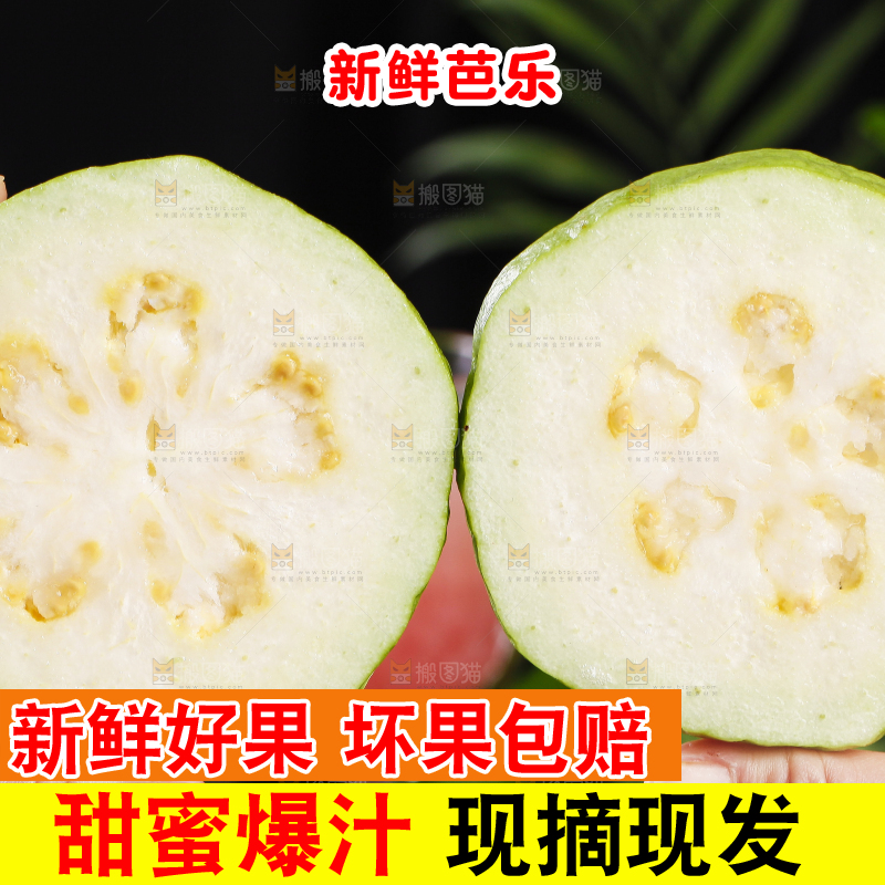 手里拿着广西白心芭乐