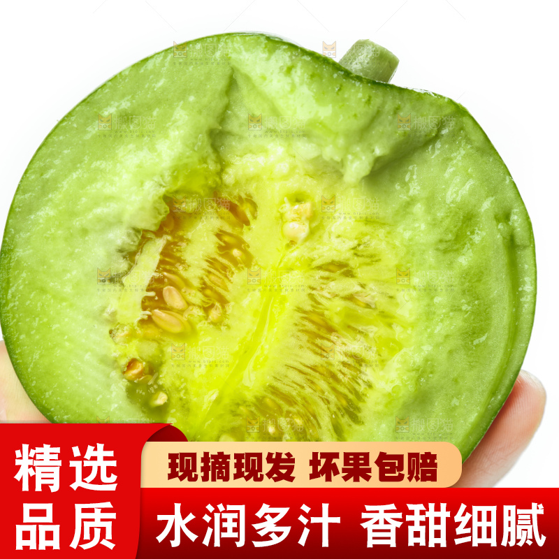 手里拿着掰的山东绿宝石甜瓜