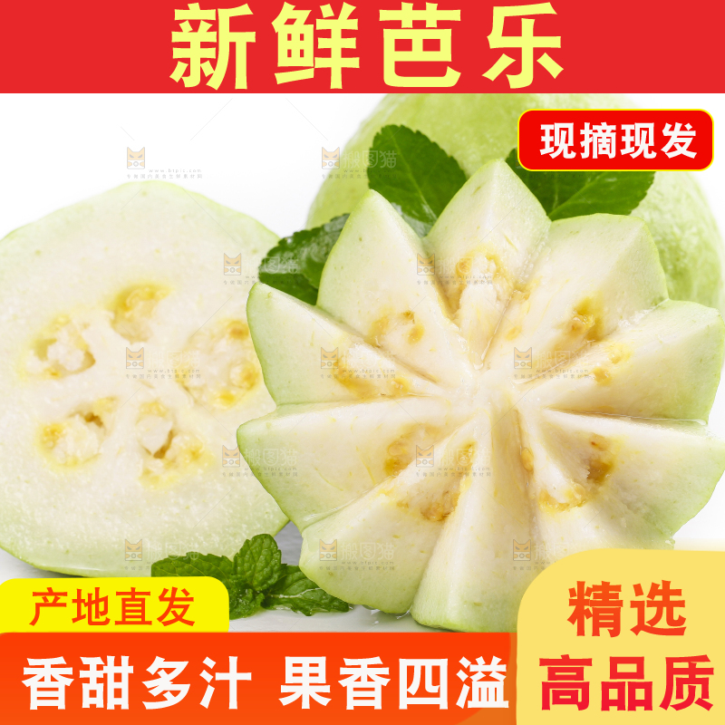 白底上放着白心番石榴
