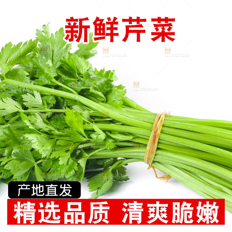 白底上放着一把芹菜