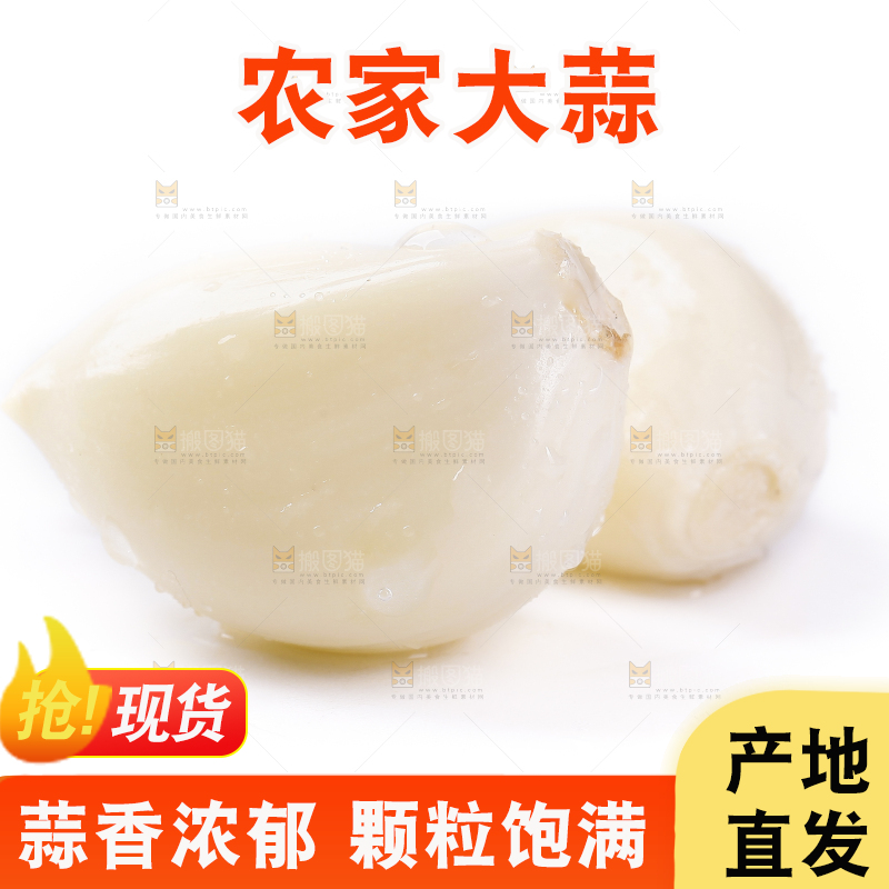 白底上放着新鲜紫皮大蒜头