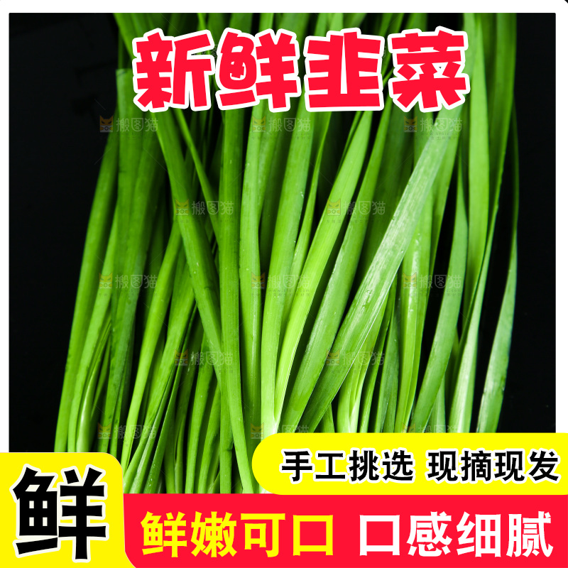 黑底上堆放着韭菜
