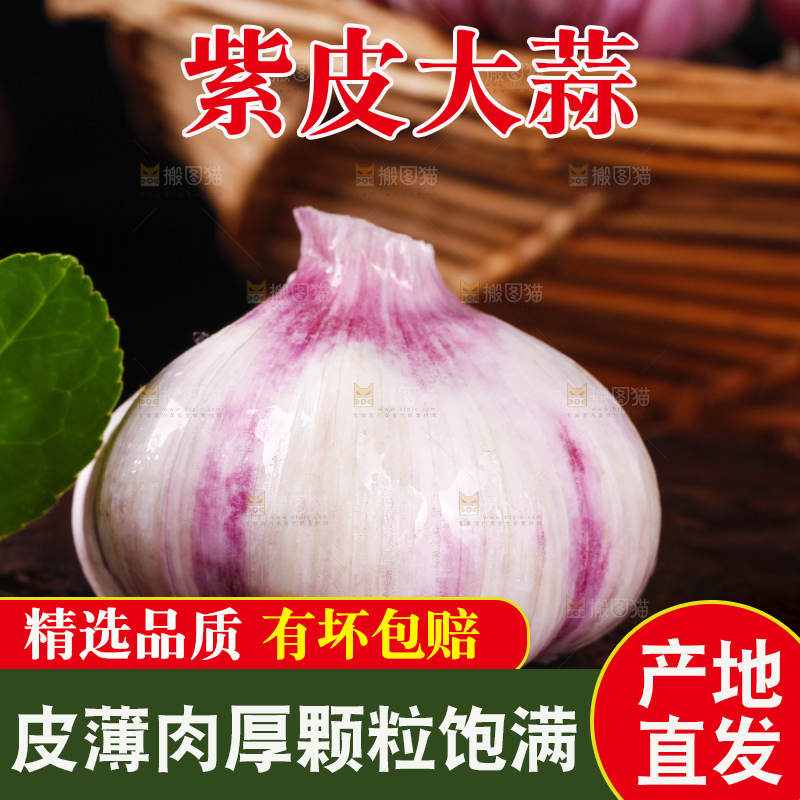 深底上放着云南新鲜紫皮大蒜