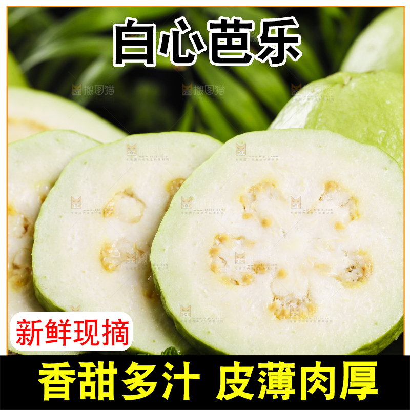 黑石底上放着白心芭乐
