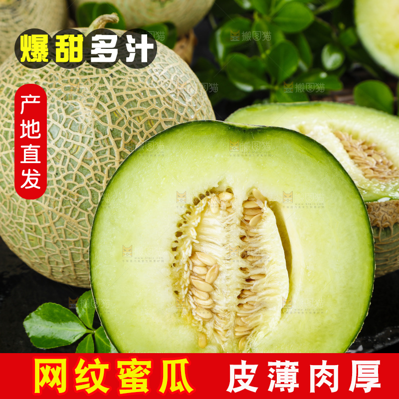 深底上放着切开的新鲜的网纹蜜瓜