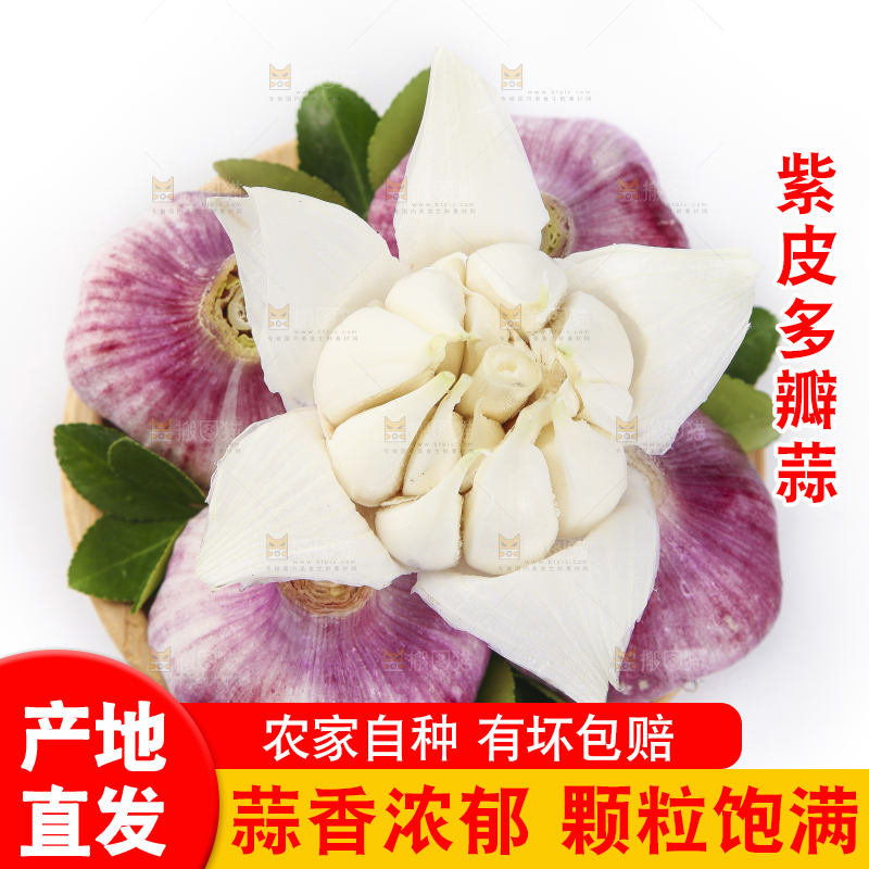 盘子里装着云南紫皮蒜