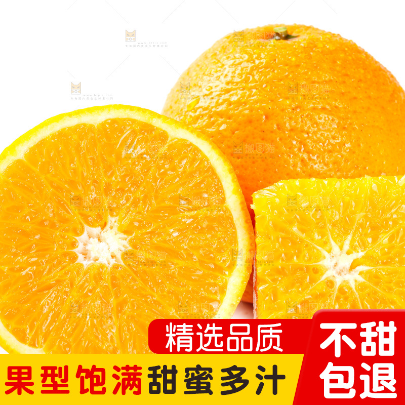 白底上放着新鲜橙子