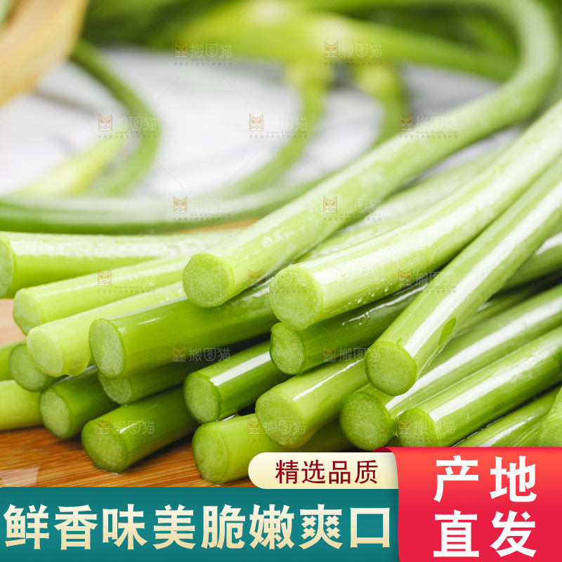 格子底上摆放着蒜豪