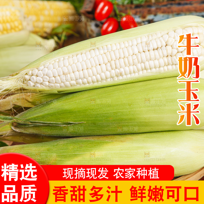 竹篮里放着牛奶玉米