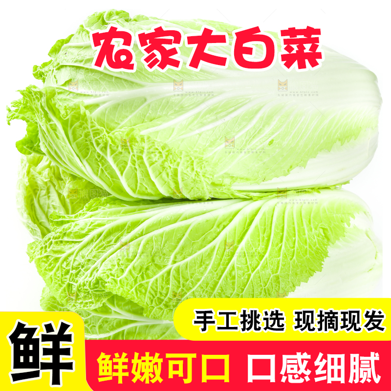 白底上的有机大白菜