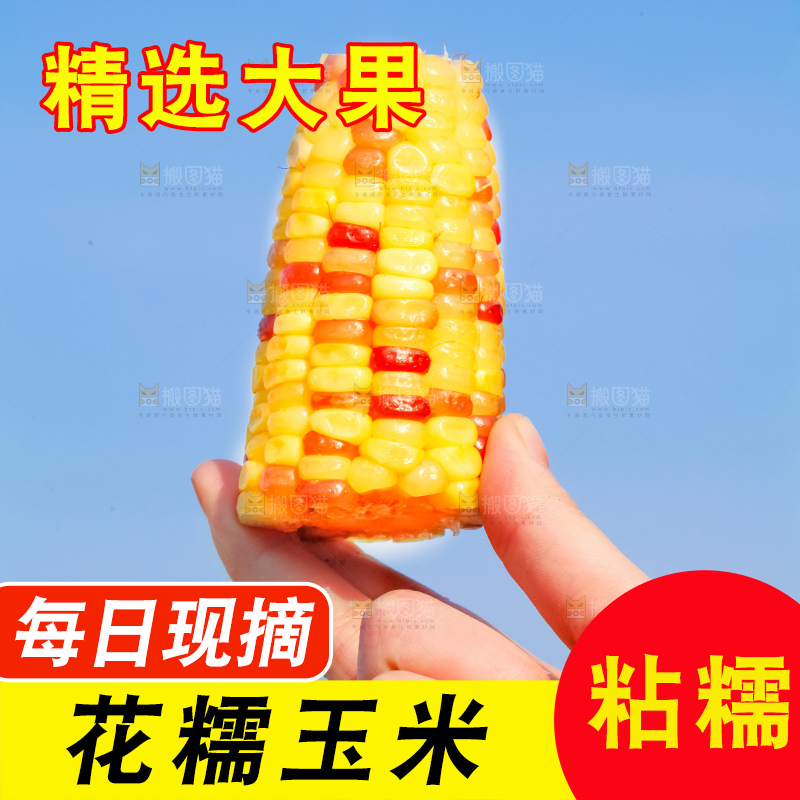 手里拿着花糯玉米