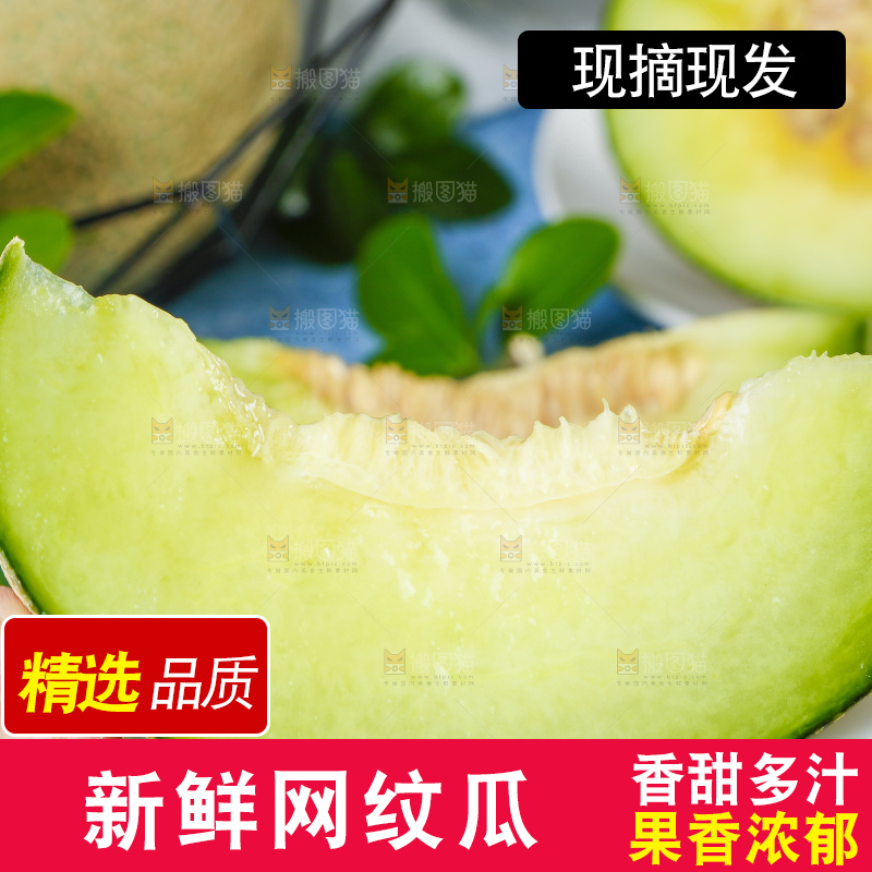 手拿切开的海南玫珑蜜瓜