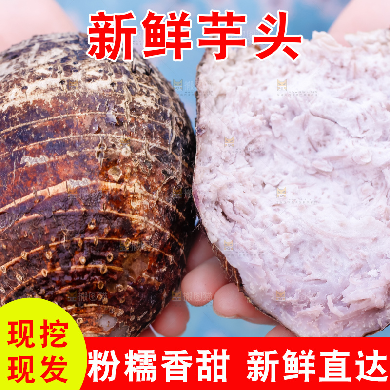 手里拿着紫藤芋头