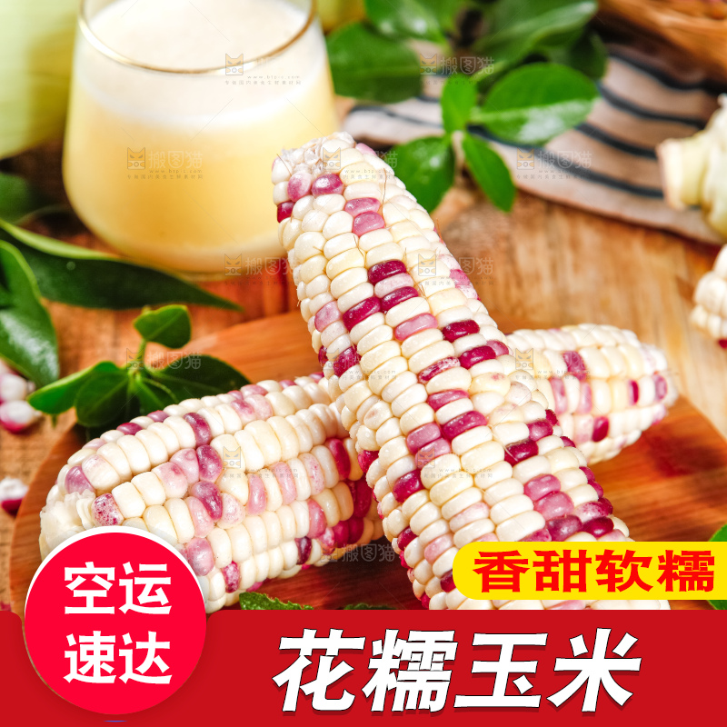 木垫里面放着剥皮的香甜糯玉米