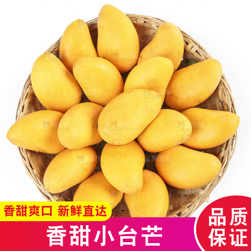 白底上放着一筐新鲜小台芒