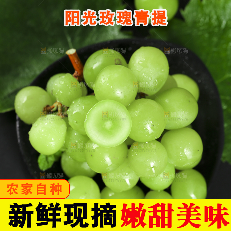 盘子里装着无籽青提