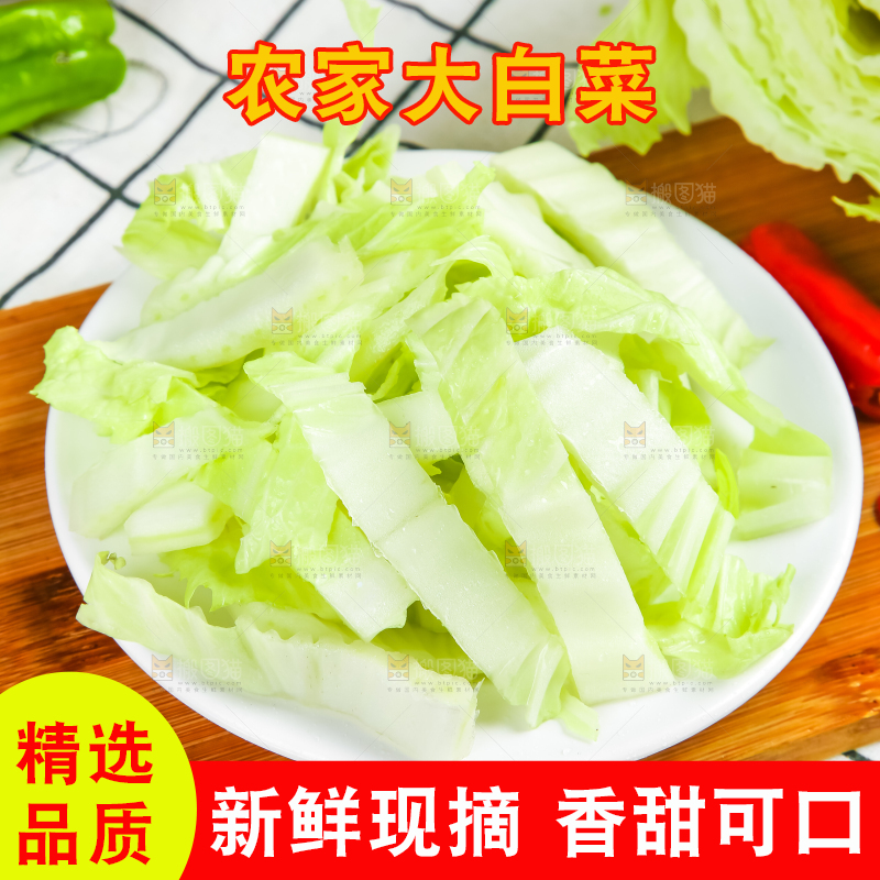 格子底上放着大白菜