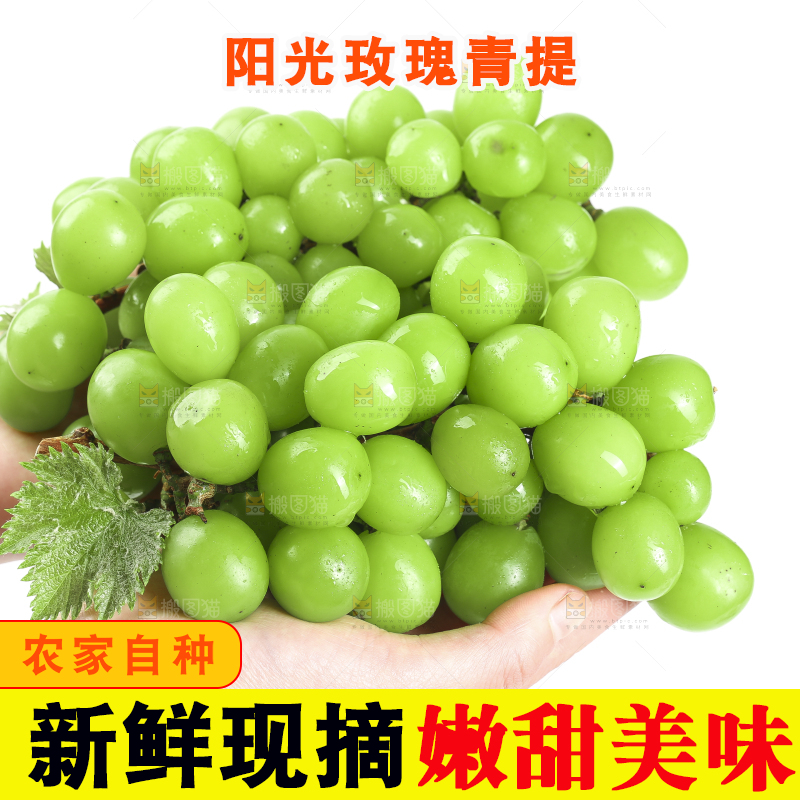 手里拿着阳光玫瑰