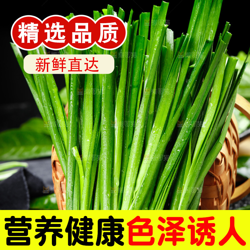 黑石板上的韭菜