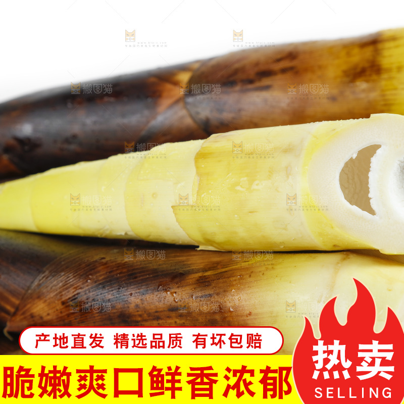 白底上放着一堆临安春笋