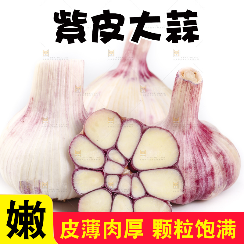 白底上放着新鲜紫皮大蒜头