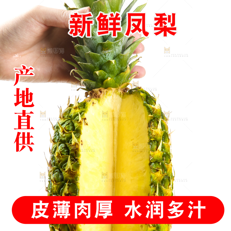 手里拿着海南金钻凤梨