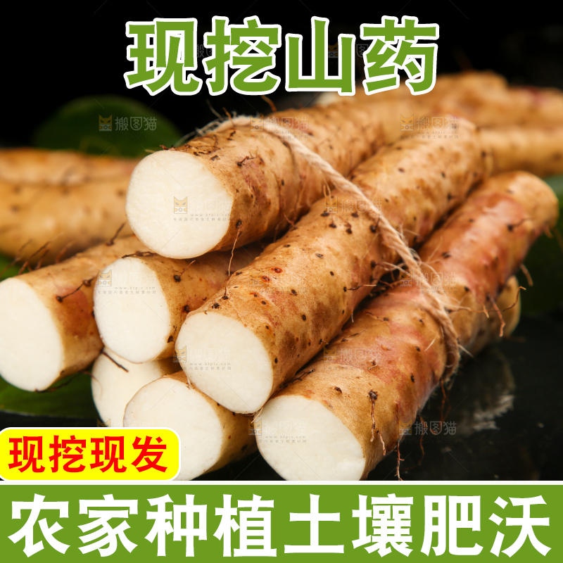 深底上的小白嘴山药