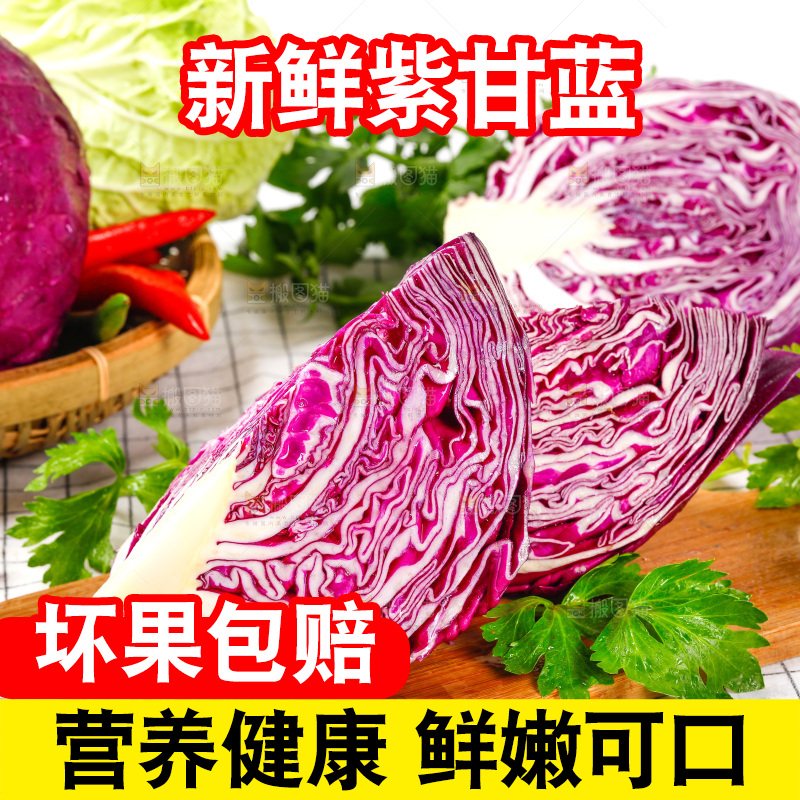 格子底上放着甘蓝