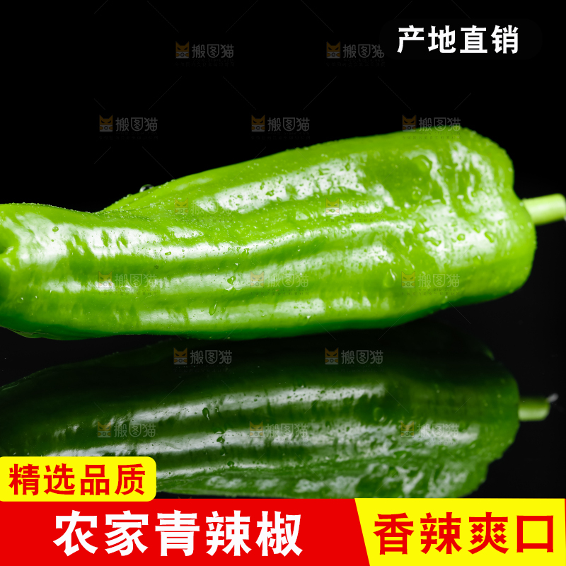 黑底上放着青辣椒